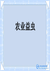 农业益虫课件-农业益虫