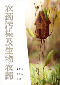 农药污染与生物农药.