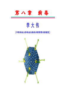 分子遗传学-病毒