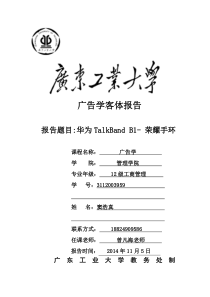 华为B1客体分析报告