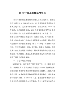 分行信息科技年度报告