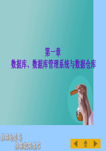 基于数据仓库的数据挖掘技术