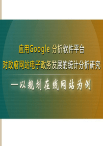 应用Google 分析软件平台对政府网站电子政务发展的统计分析研究(29