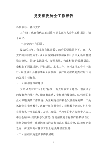 党支部委员会工作报告