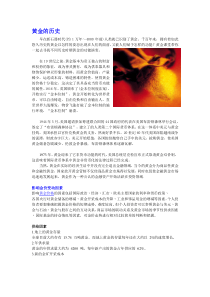 分享一些现货黄金的技巧与心得