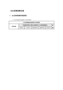 企业发展战略实施准则与流程管理