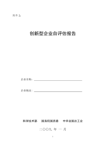创新型企业自评估报告