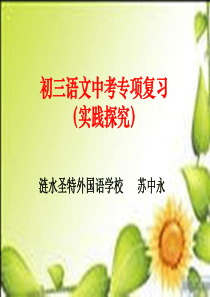 初三语文中考专项复习