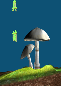 八年级生物上册第四章第三节真菌课件