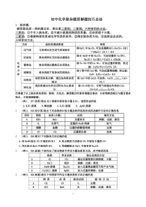 初中化学除杂题型解题技巧总结