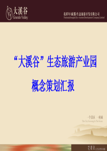 成都花样年-“大溪谷”生态旅游产业园概念策划汇报-93PPT