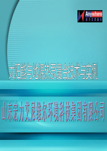复合能源助推低碳经济