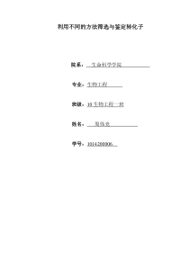 利用不同的方法筛选与鉴定转化子