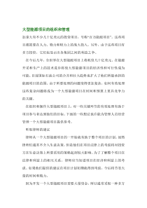 大型能源项目的组织和管理