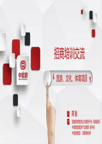 旅游、文化、体育项目招商策略(旅游项目招商方案品牌提升方案)