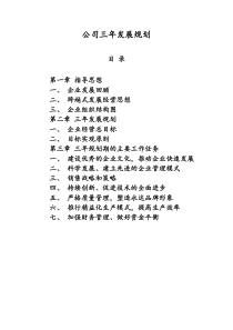 公司五年发展规划1
