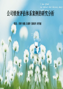 公司绩效评估体系案例的研究分析