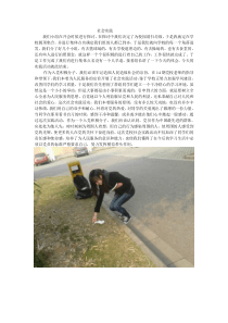 公益劳动心得体会