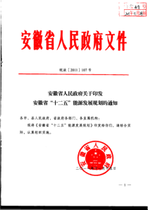 安徽能源战略十二五