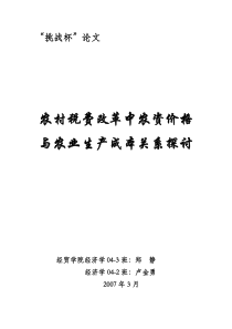 挑战杯——农村税费改革中农资价格与农业生产成本关系探讨(初稿)