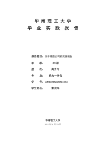 关于德昌公司的实践报告
