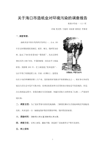 关于海口市造纸业对环境污染的调查报告