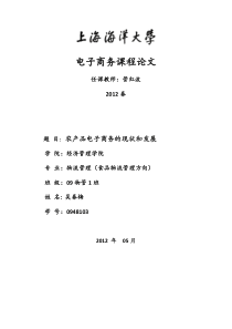 农产品电子商务的现状和发展1