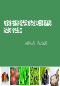 方家庄村生态农业休闲旅游体验基地规划可行性报告（PPT47页)