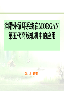 冶金行业润滑外循环系统在MORGAN第五代高线轧机中的应用