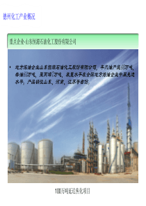 德州化工产业招商宣传手册2