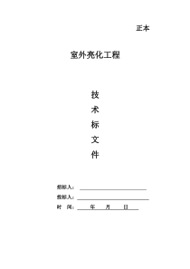 户外亮化工程技术标范本