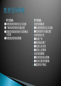 旅游市场营销学课件(第九周)