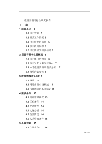 旅游开发可行性研究报告