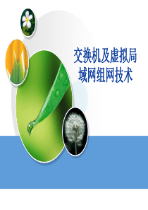 交换机及虚拟局域网组网技术