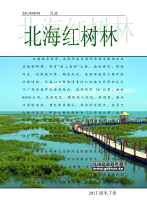 信息技术作业
