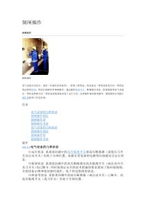 倒闸操作知识