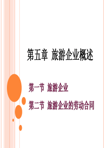 旅游法教程第五章旅游企业概述