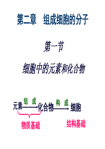 元素和化合物一轮复习