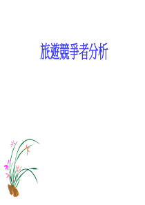 旅游竞争者分析