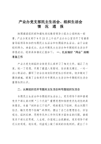 先进性民主生活会情况通报