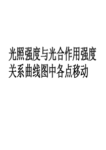 光合点移动