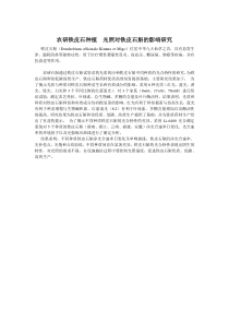 光对铁皮石斛的影响研究---农研铁皮石斛种植