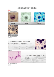 人体寄生虫学实验考试重难点
