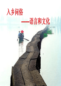 人教版选修《语言文字应用》课件第六课语音的艺术-语言和文化(共25张)