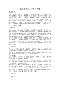 佳能中国商业广告策划案