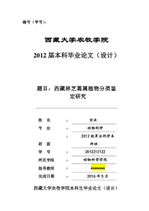 仓决毕业论文