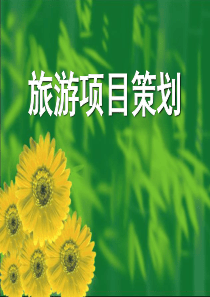 旅游项目策划