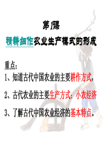第一课精耕细作农业生产模式的形成