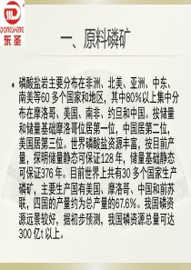 湖北东圣化工集团有限公司磷铵工艺