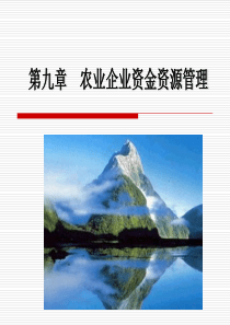 第九章农业企业资金资源管理